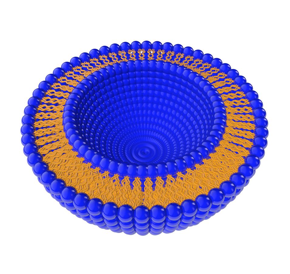 lipozom_12